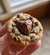 chocolate hershey kiss cookies