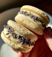 lemon lavender sandwich cookies