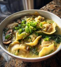 potsticker soup