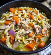 instant pot chicken noodles recipe
