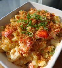 lobster casserole recipes