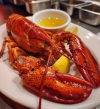 lobster close up