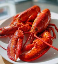 lobster images