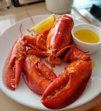 lobster in the sea