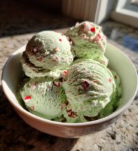 ninja creami peppermint ice cream