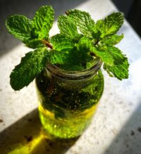 peppermint syrup